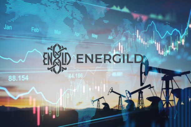 ENERGILD platform